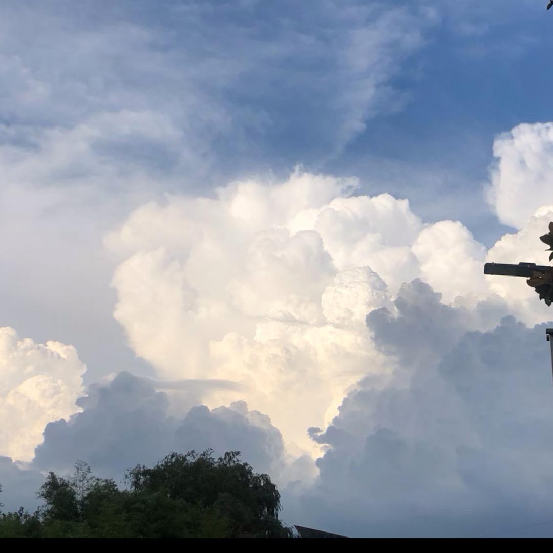 要见意面吗🍝4号