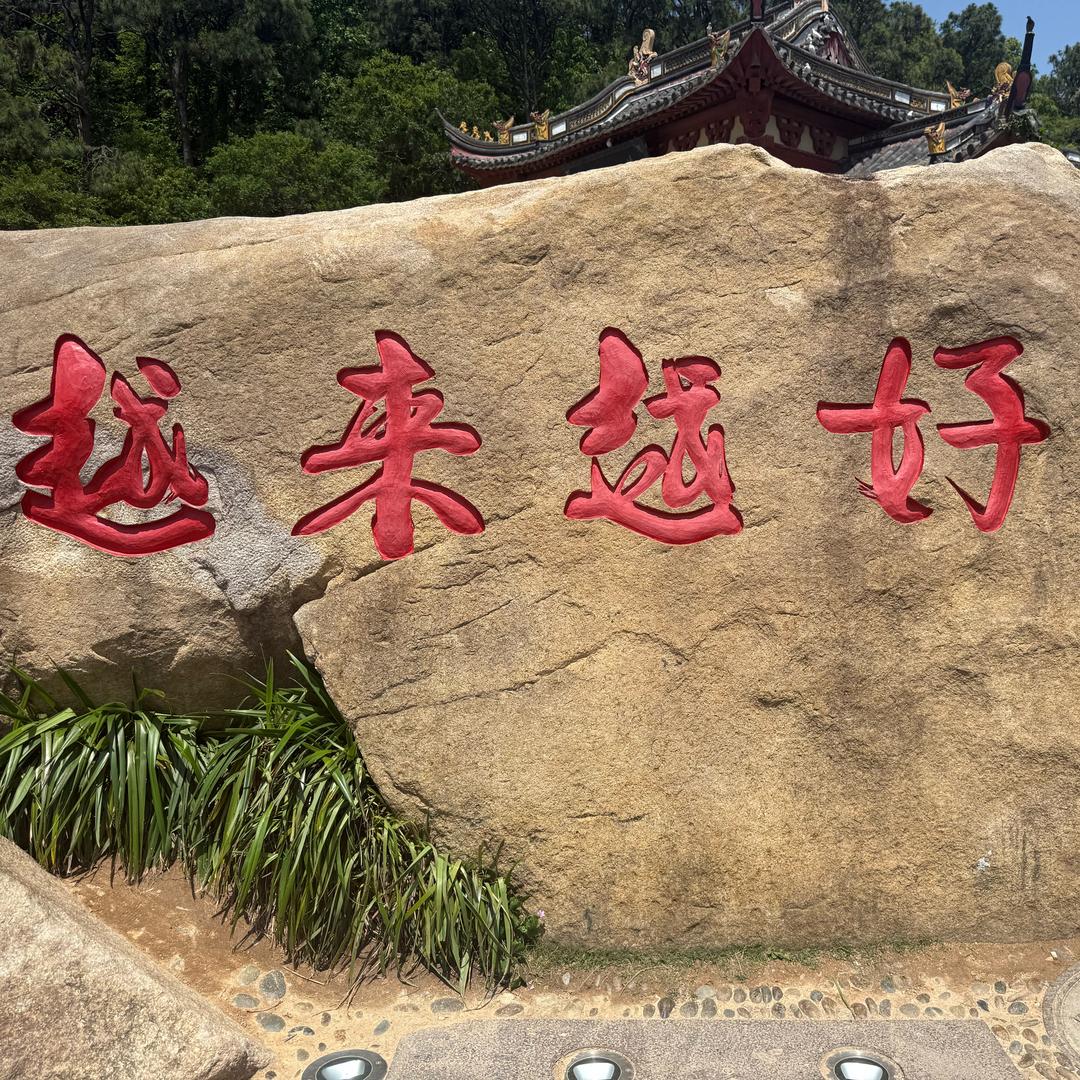 懂