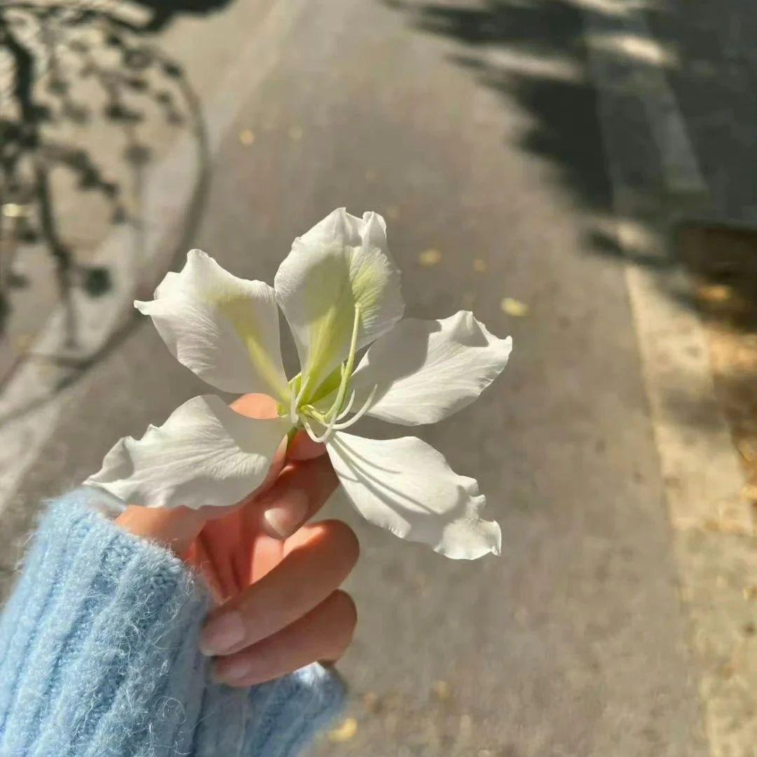 ◡̈ ᑋᵉᑊᑊᵒ邵沫沫