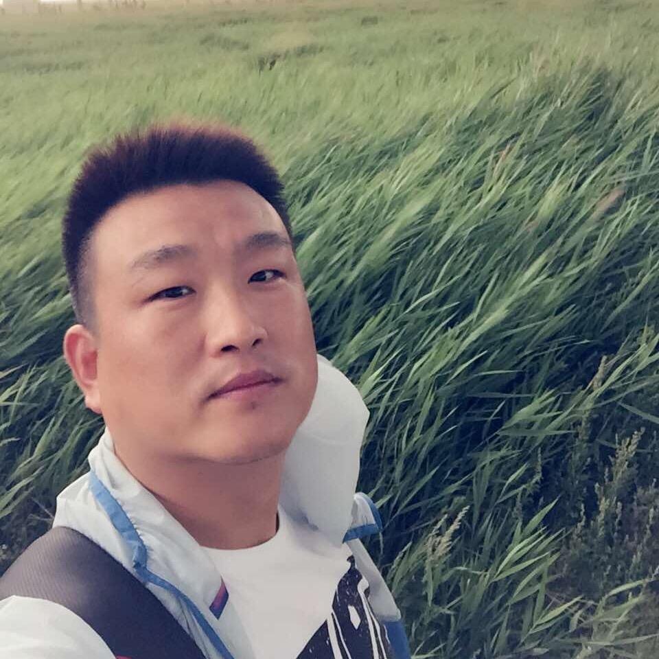江映鸿天