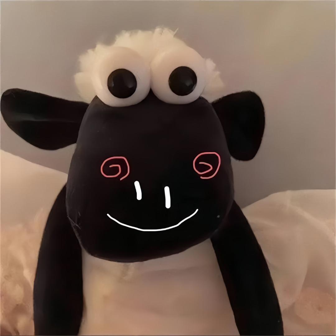 一昂羊🐑