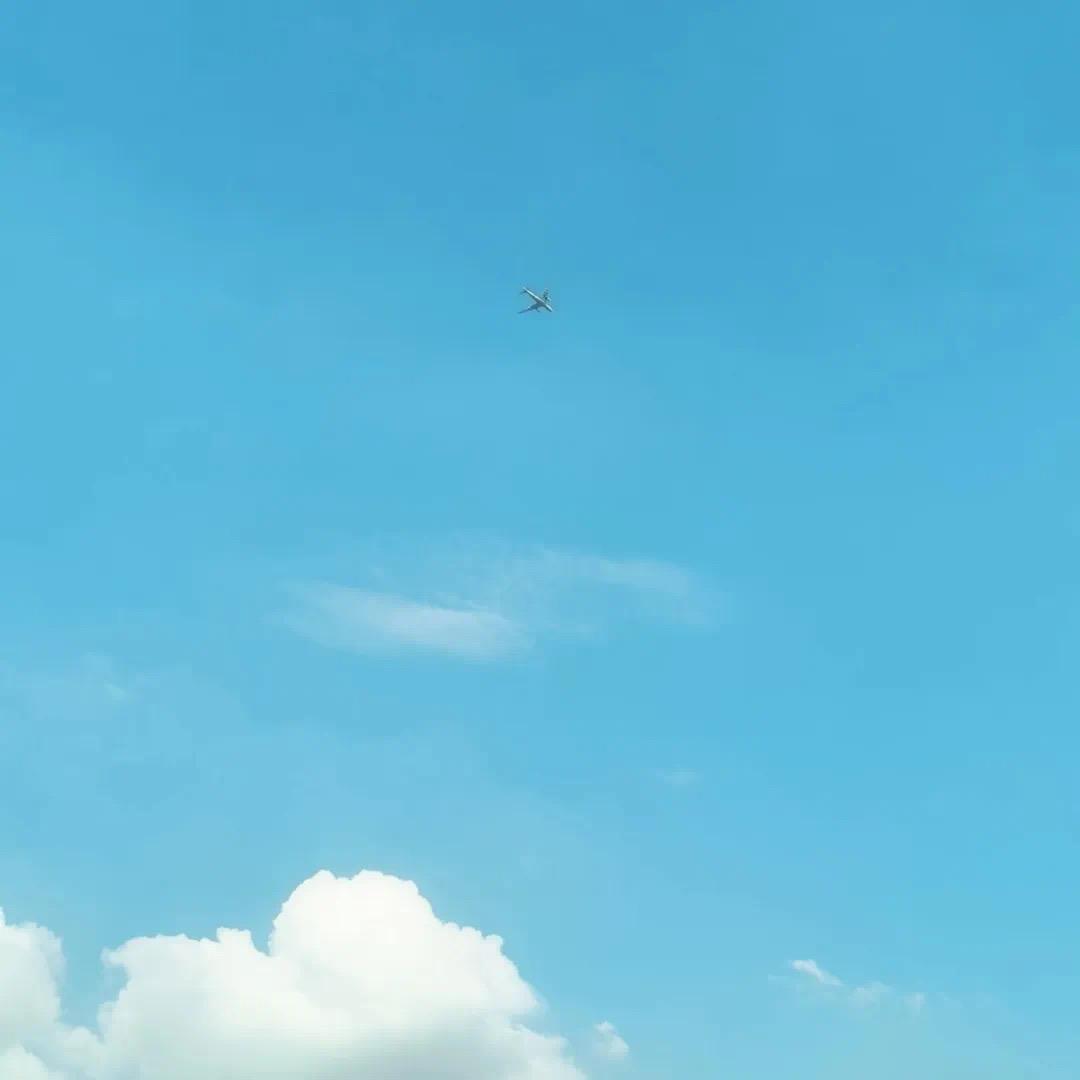 A  皮皮