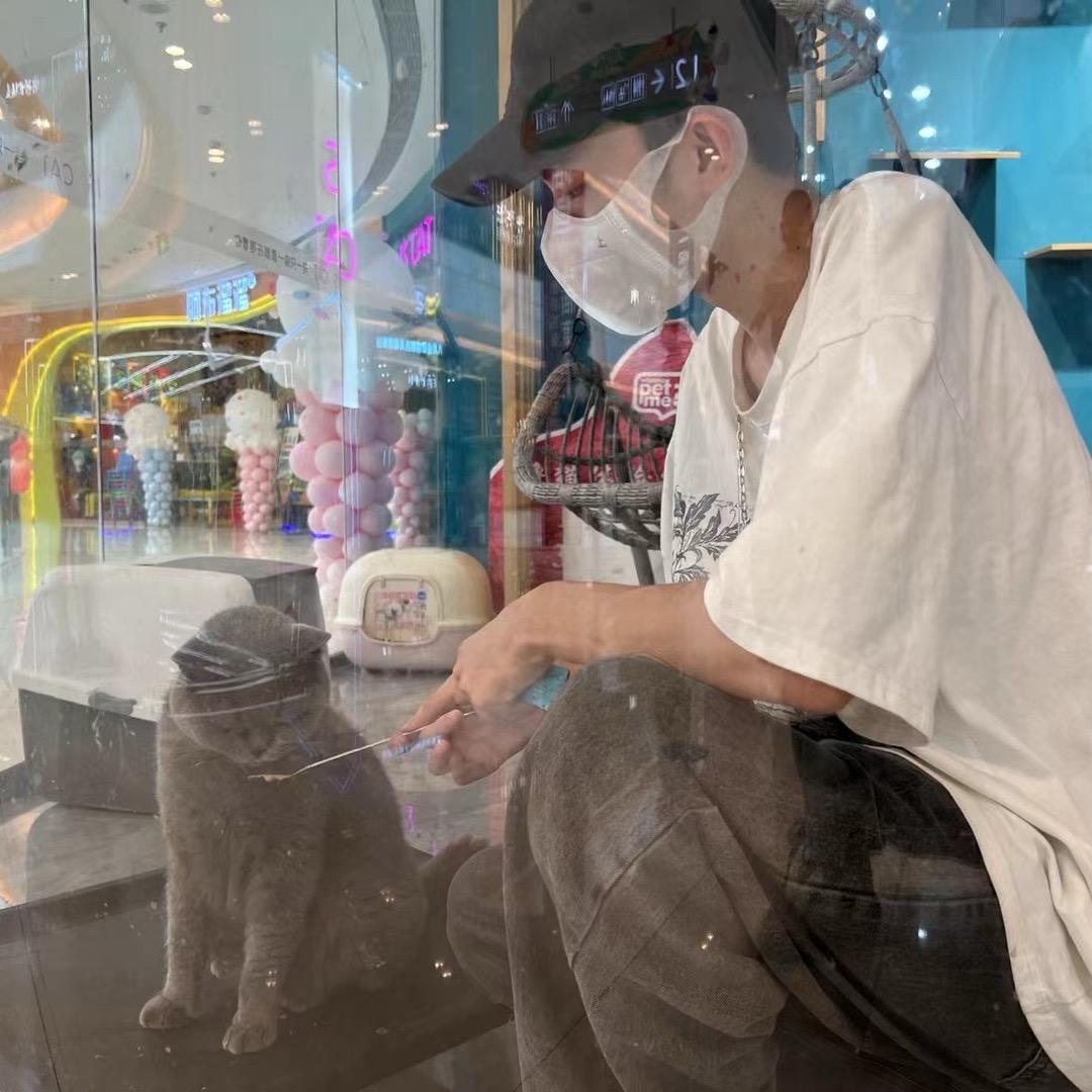 海鸥：