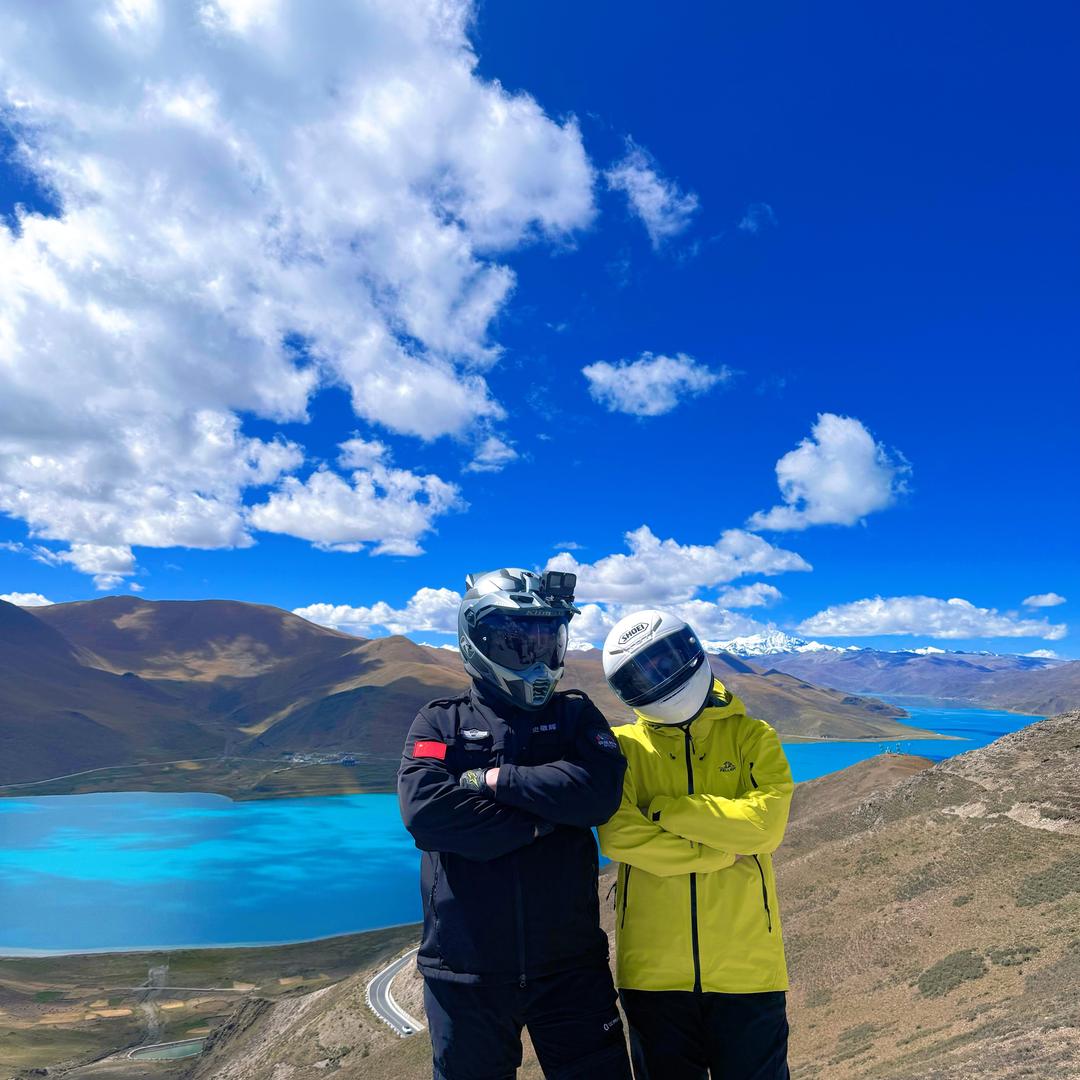 一只小小鸟 🐦