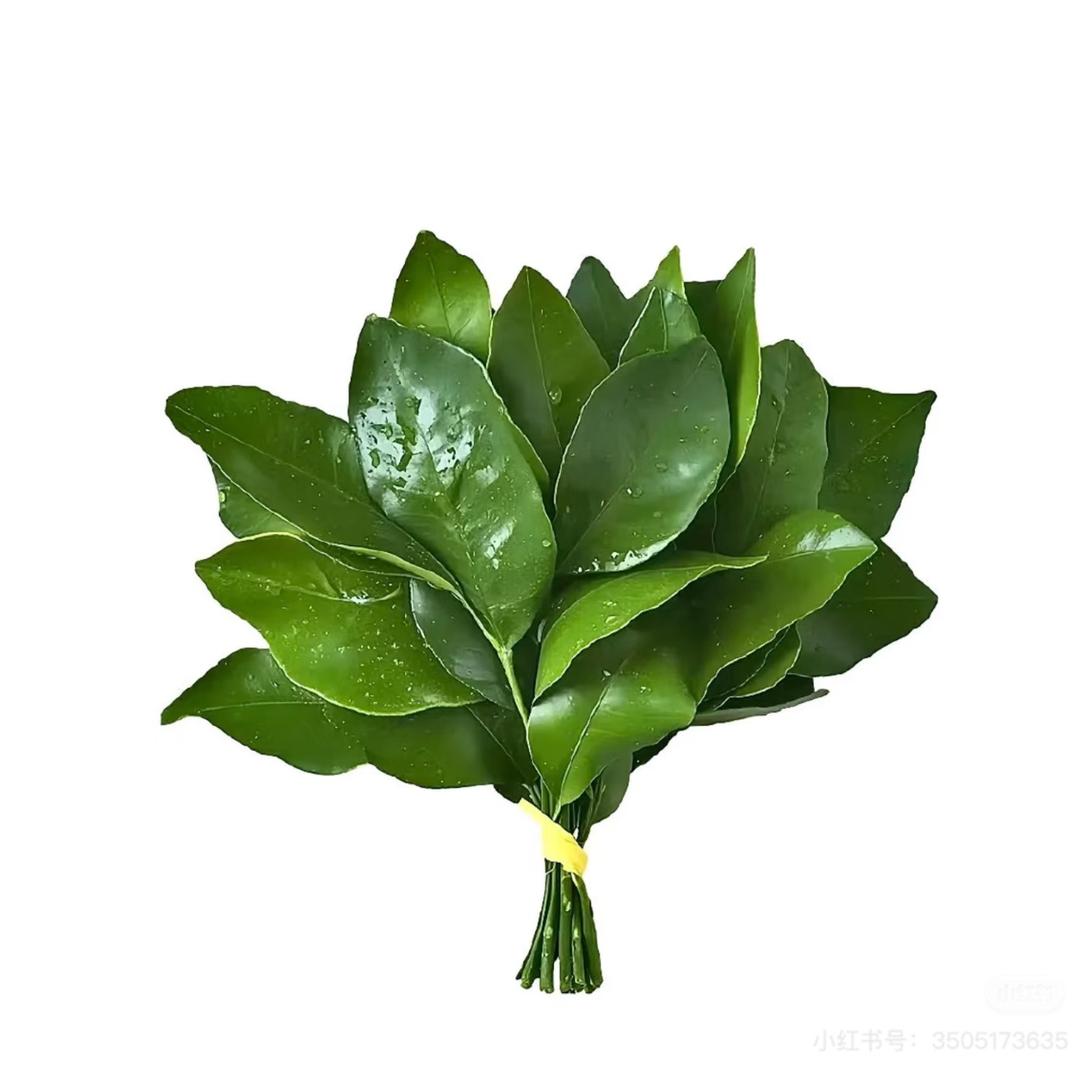 梁白开