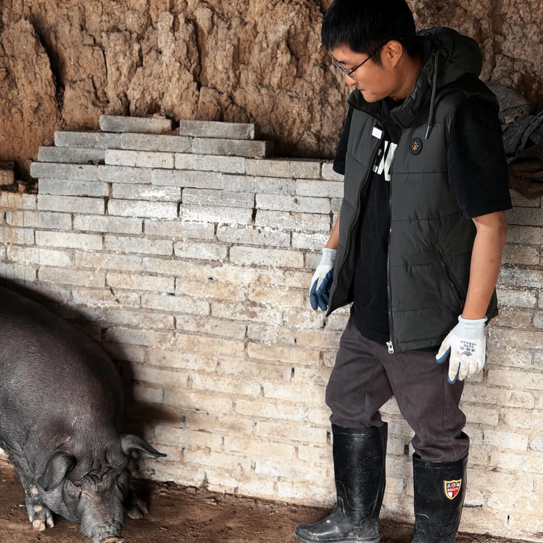 果娃-伏牛山黑土猪