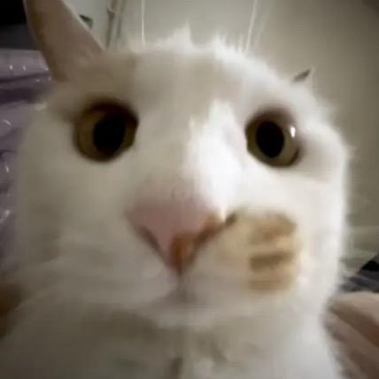 备忘录