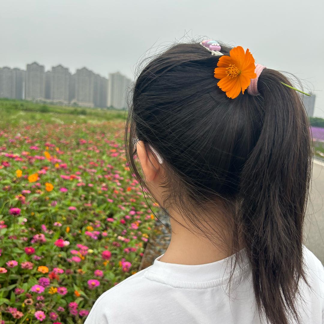 蕊小果