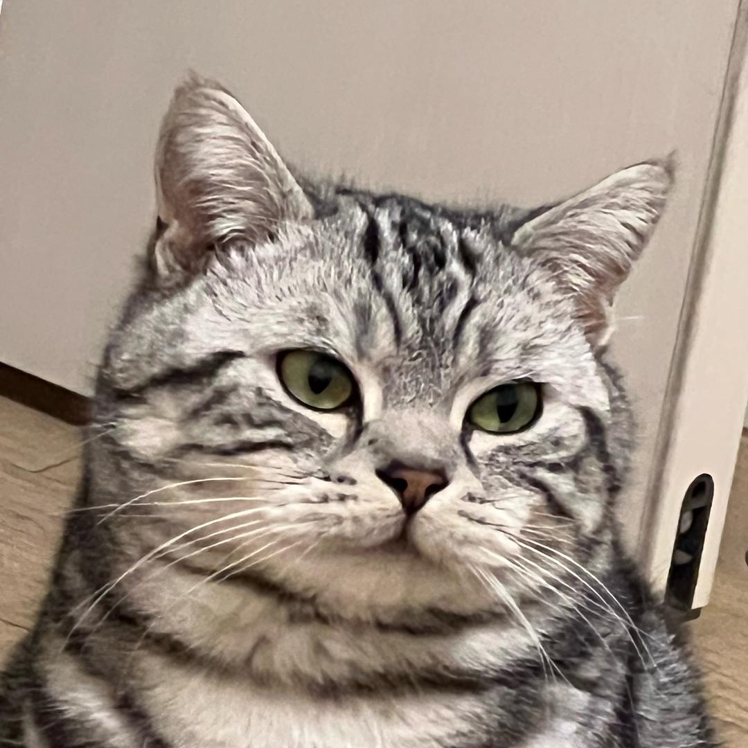 谜团