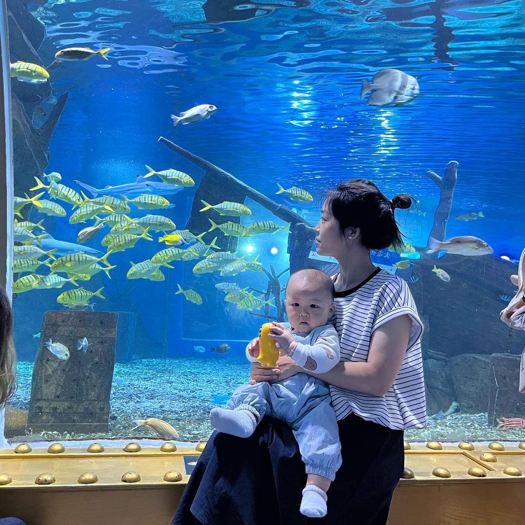 海豚妈妈