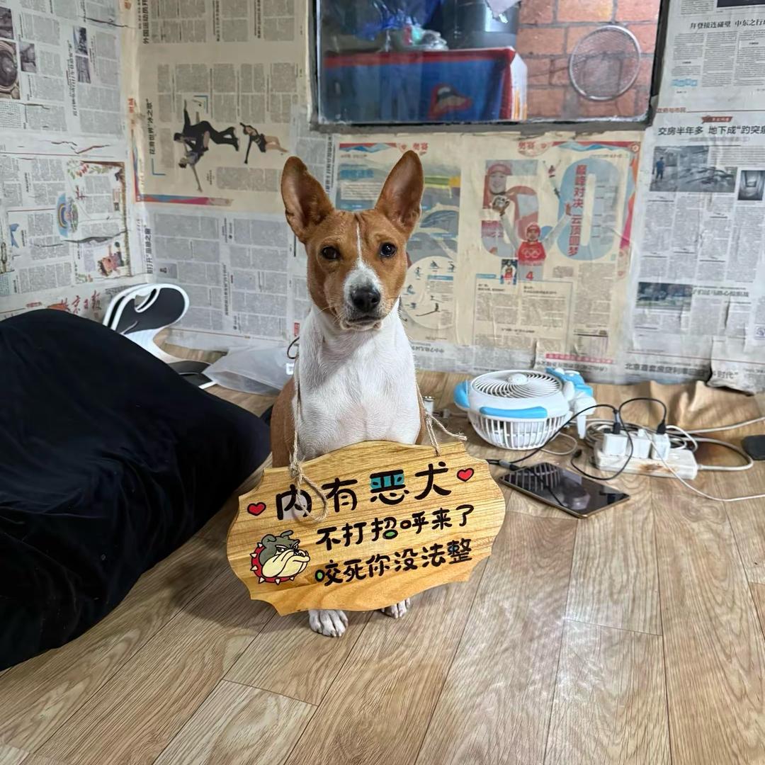 李老三