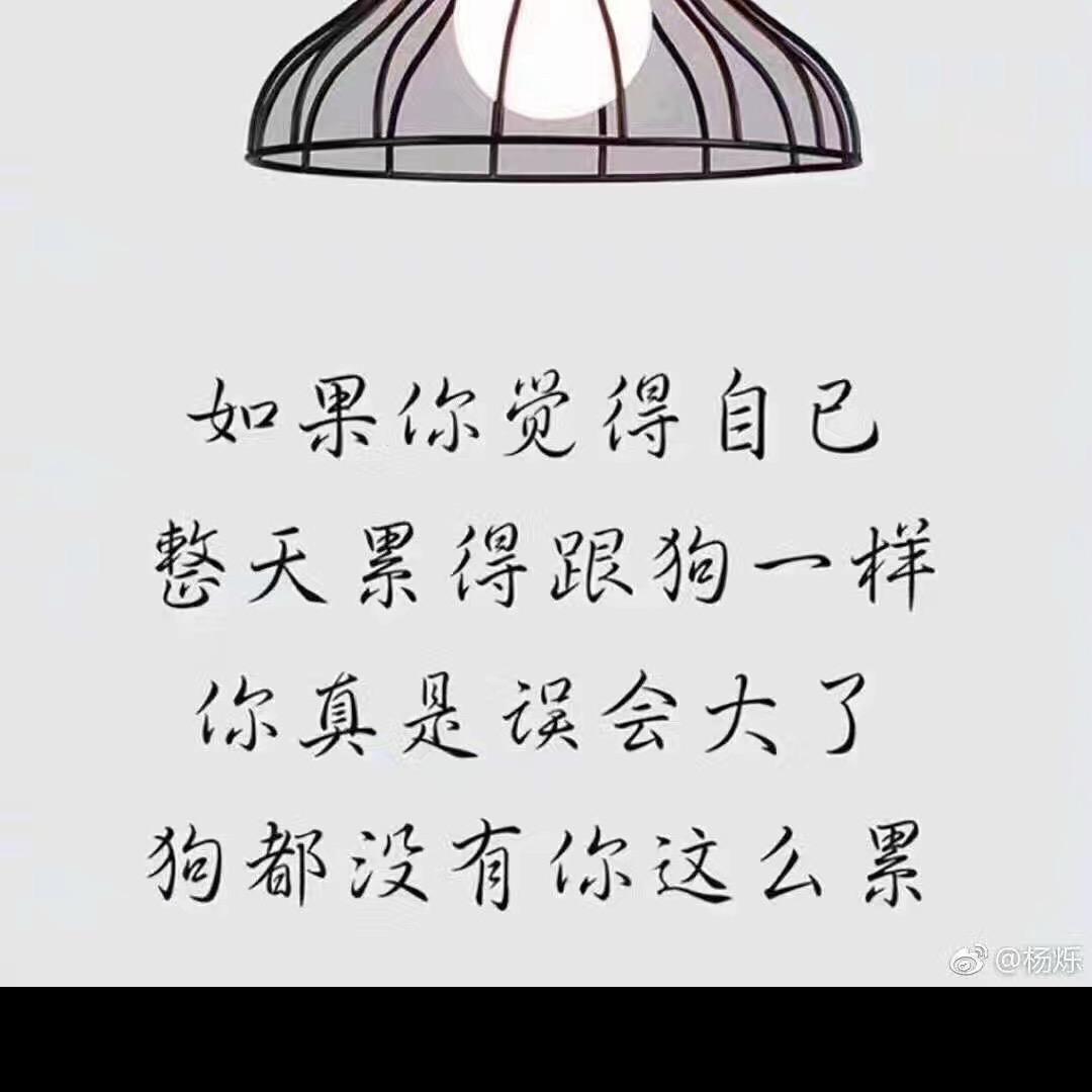 小可爱