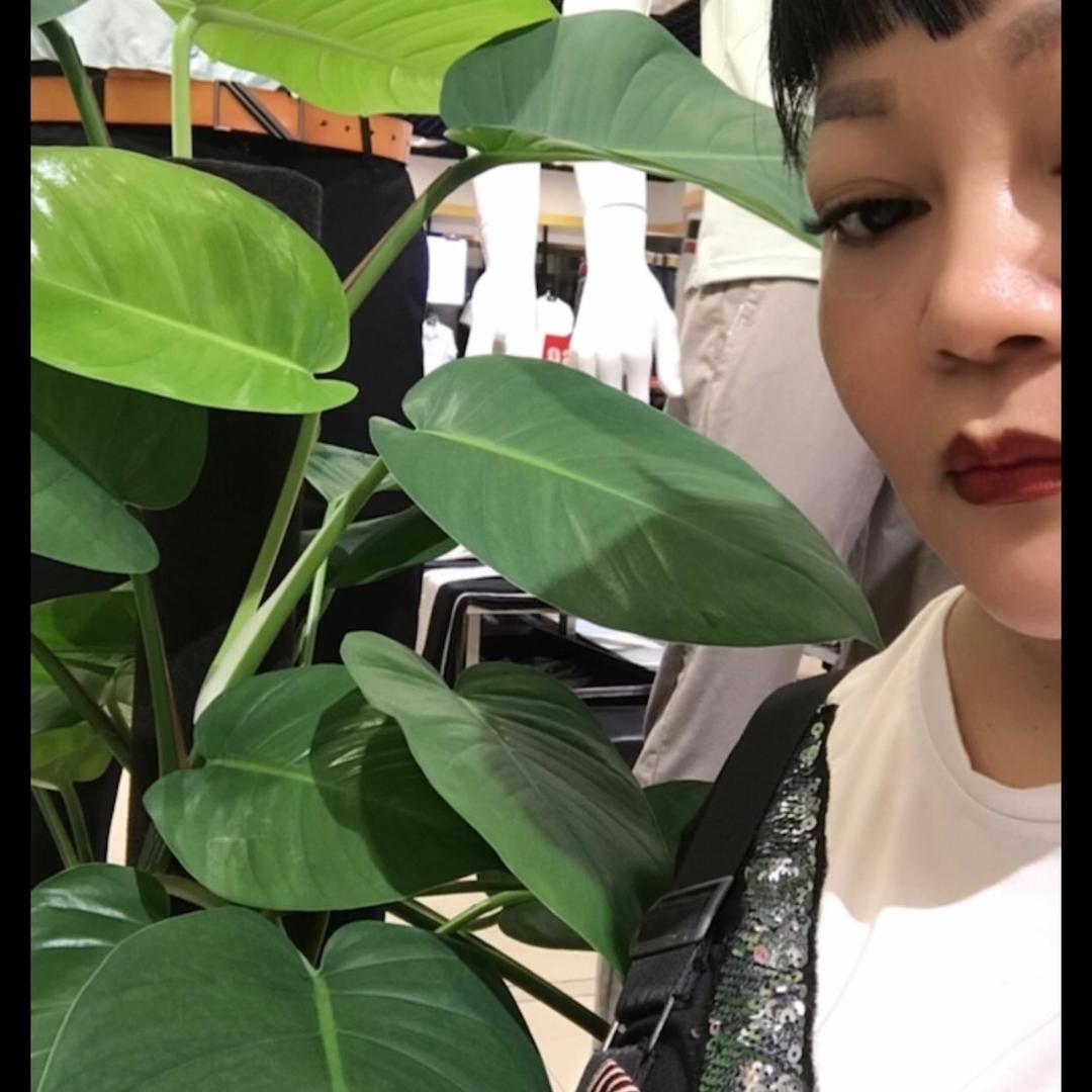 酷儿