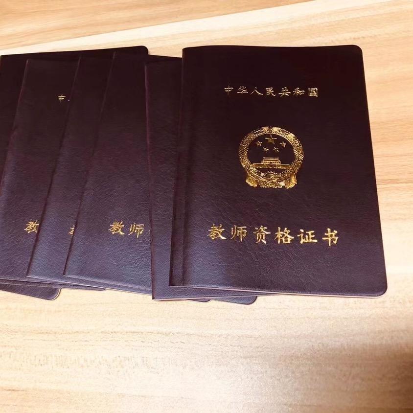 龙博士教资
