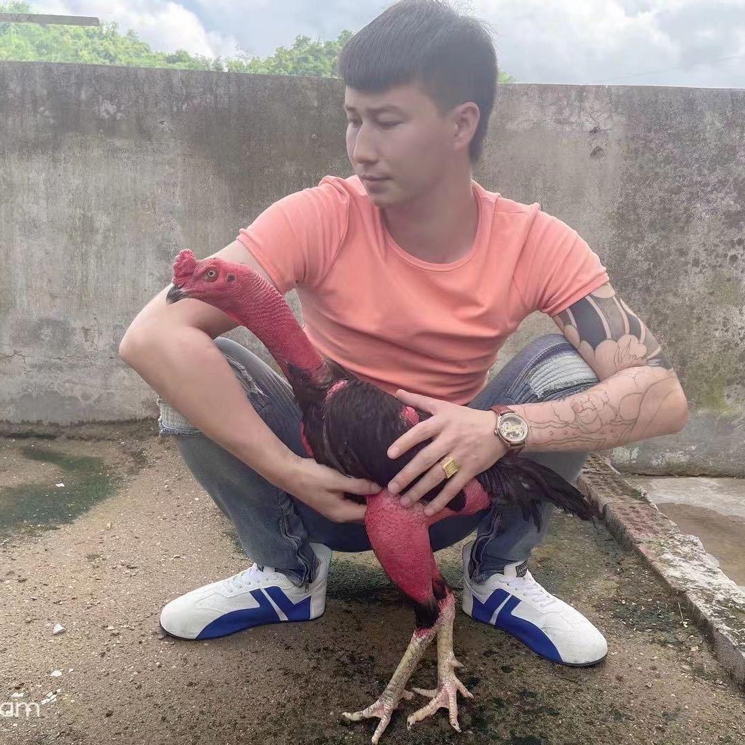 卡伊萨尔