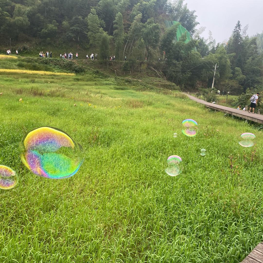 小春春