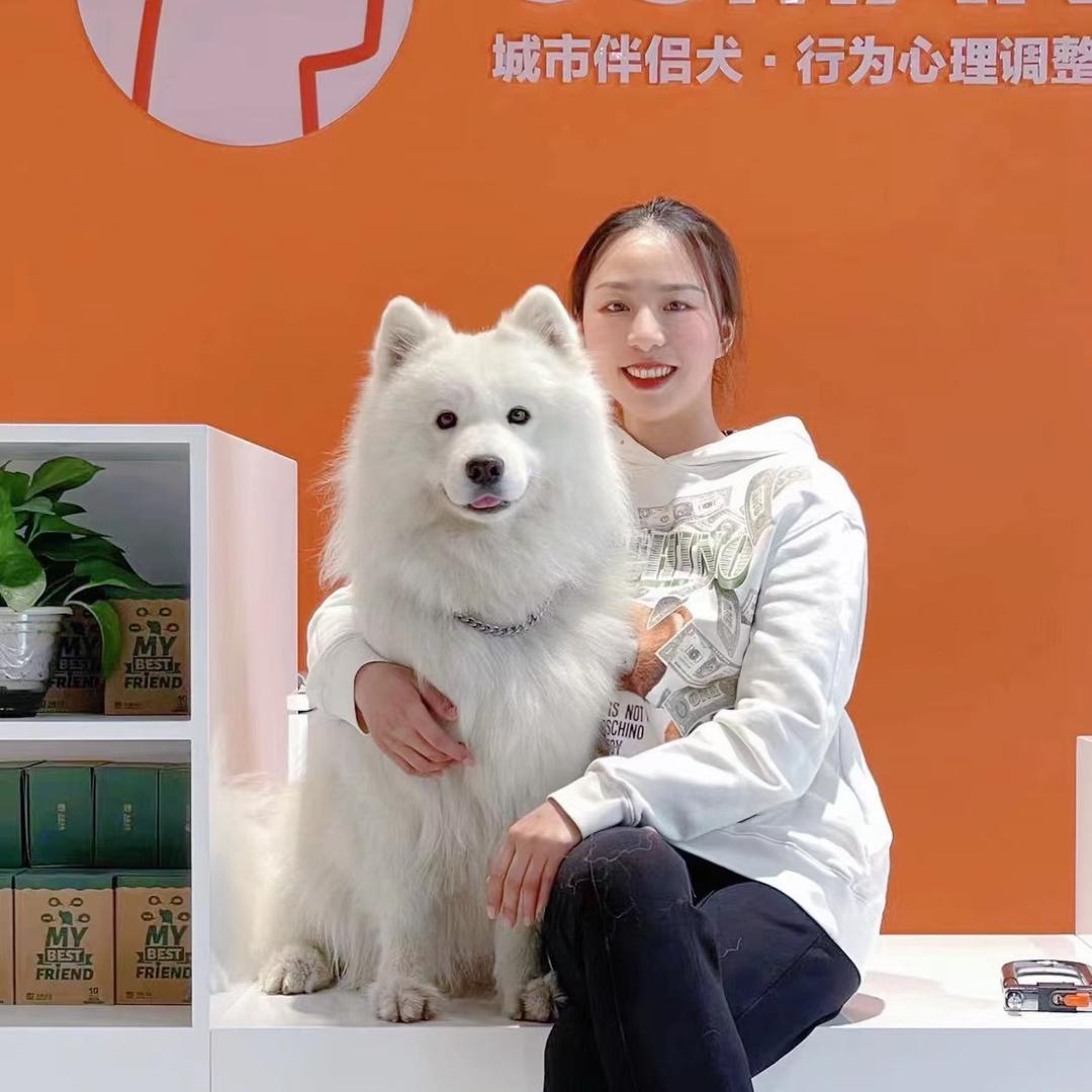 伴侣犬行为管理师蛋姐