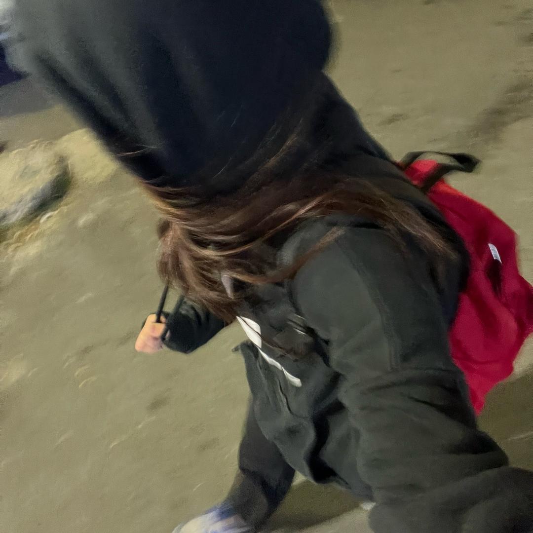 孤独的狼