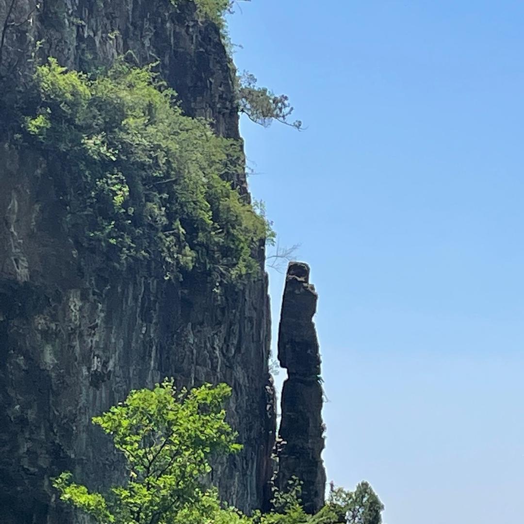 顺其自然：