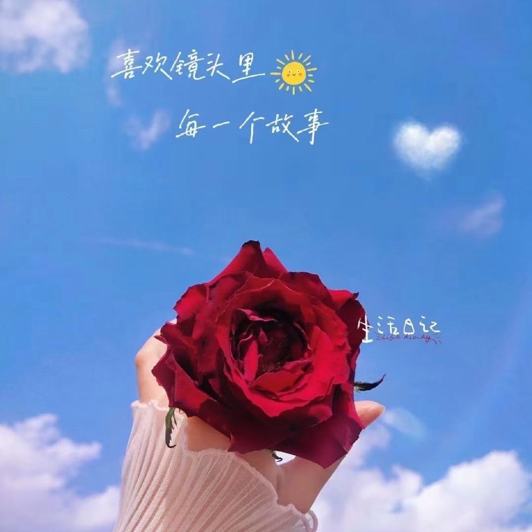 哆哆客5656789