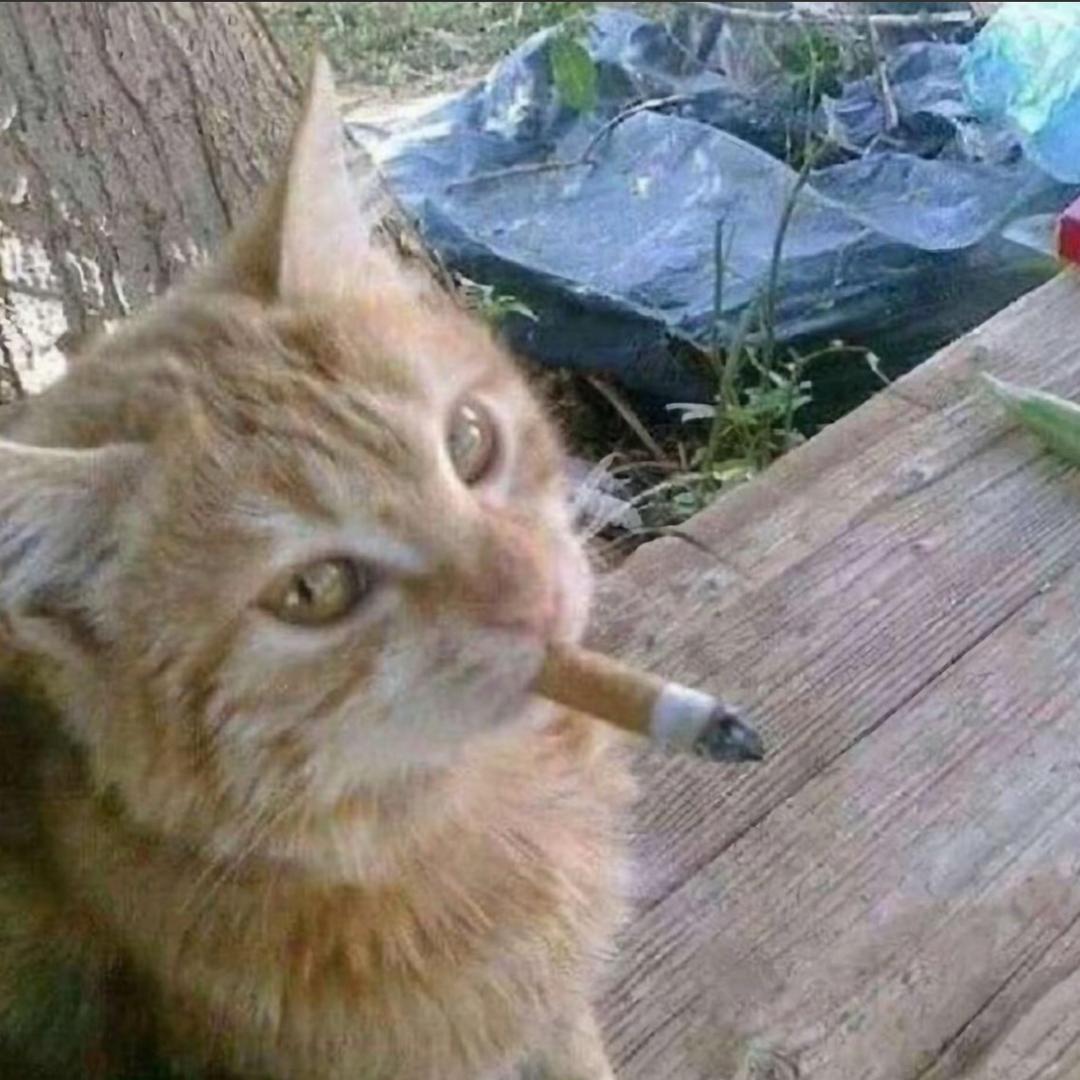 .                 .