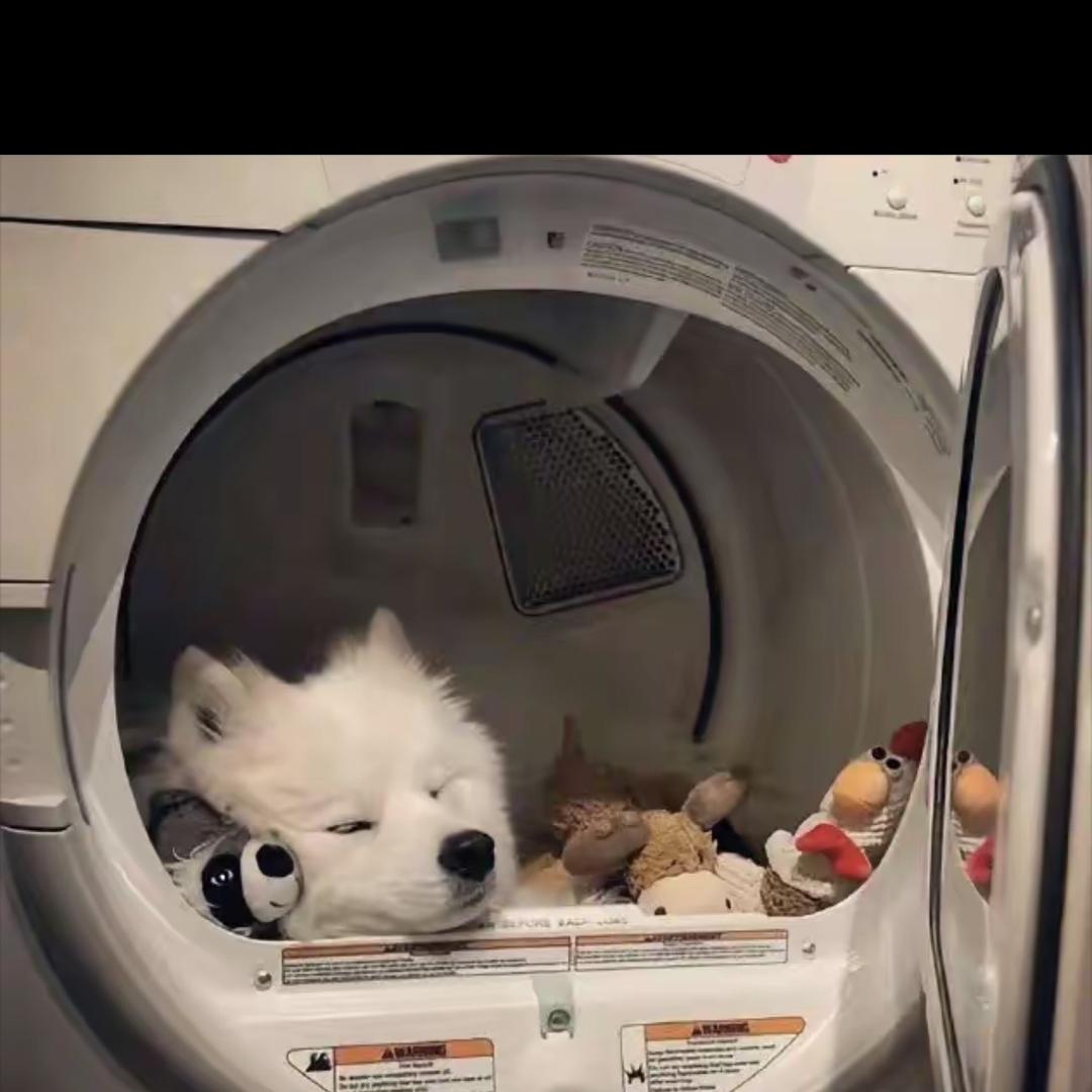 焦吕琶百货店