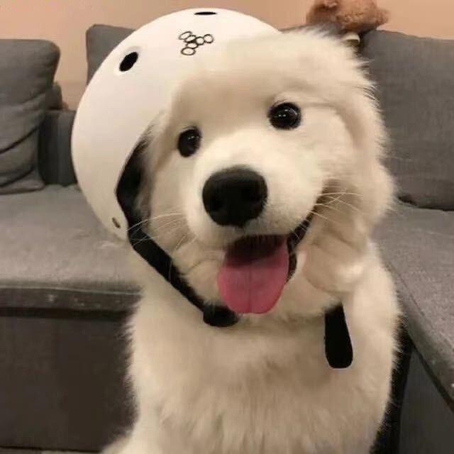 K K