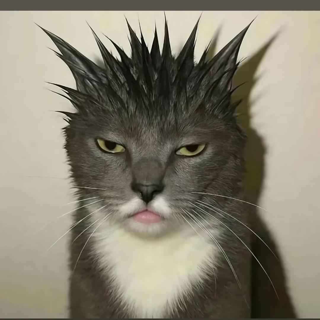 “H”