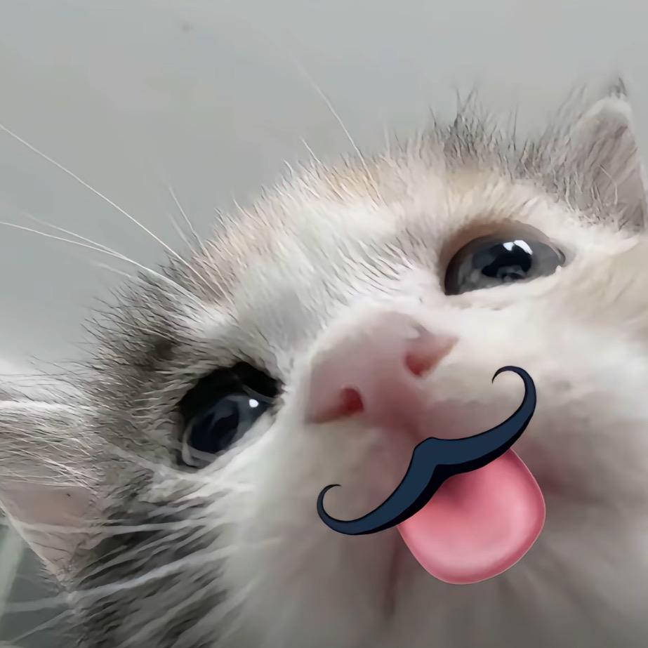 .微醺小猫^