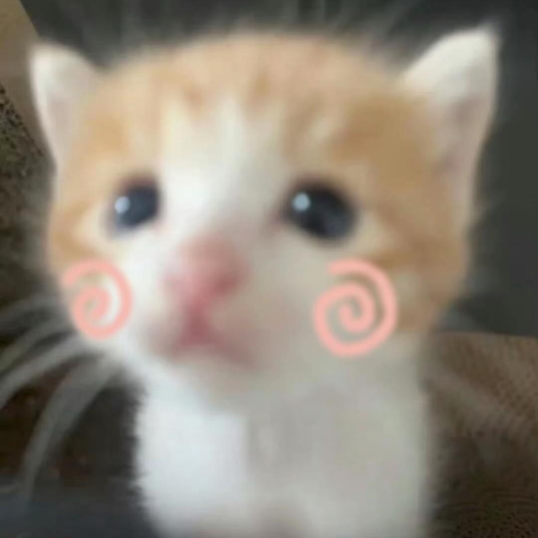 𝟱𝙪