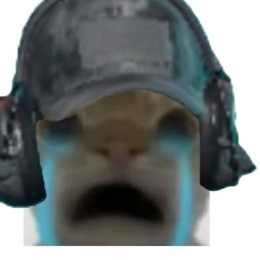 779