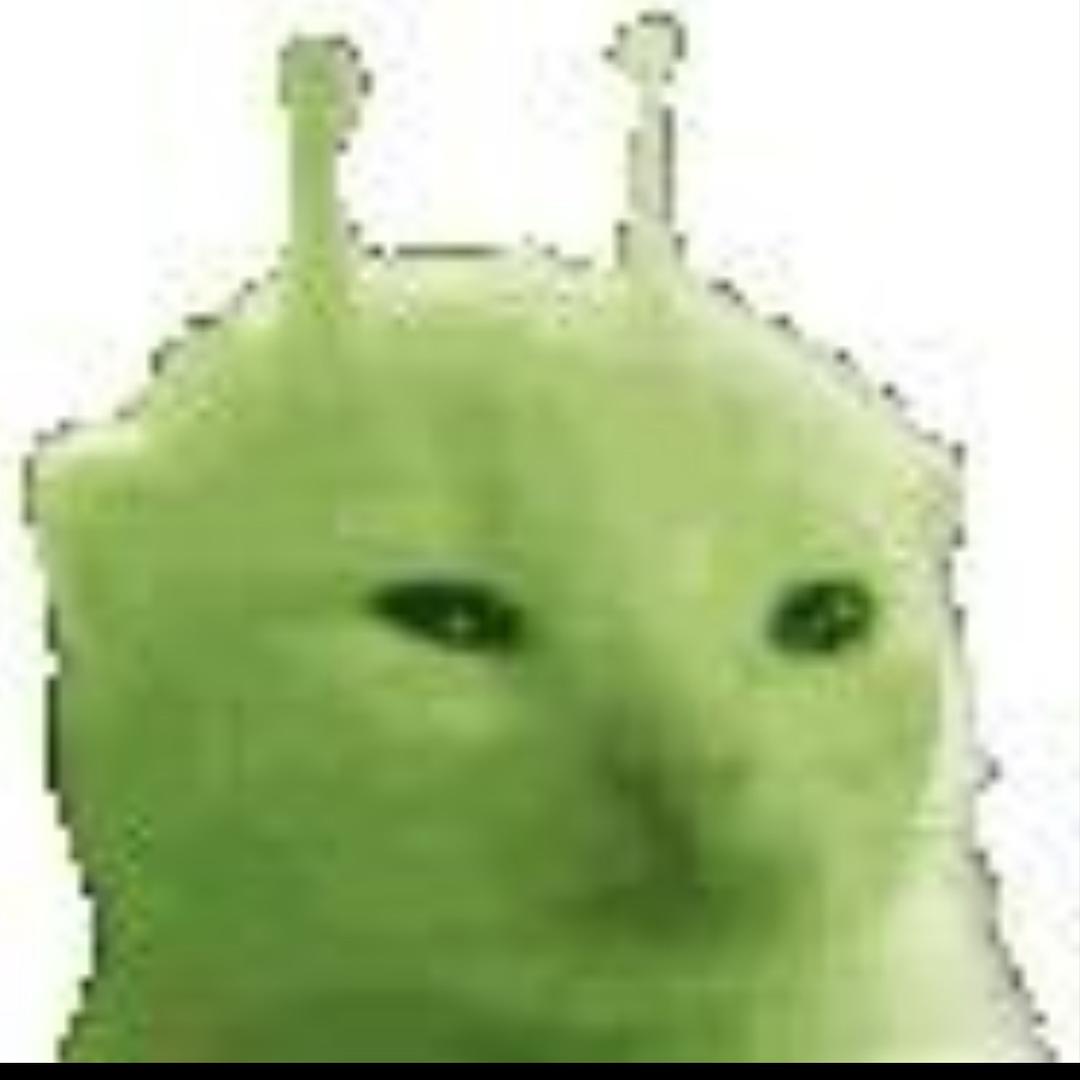 鱼🐟