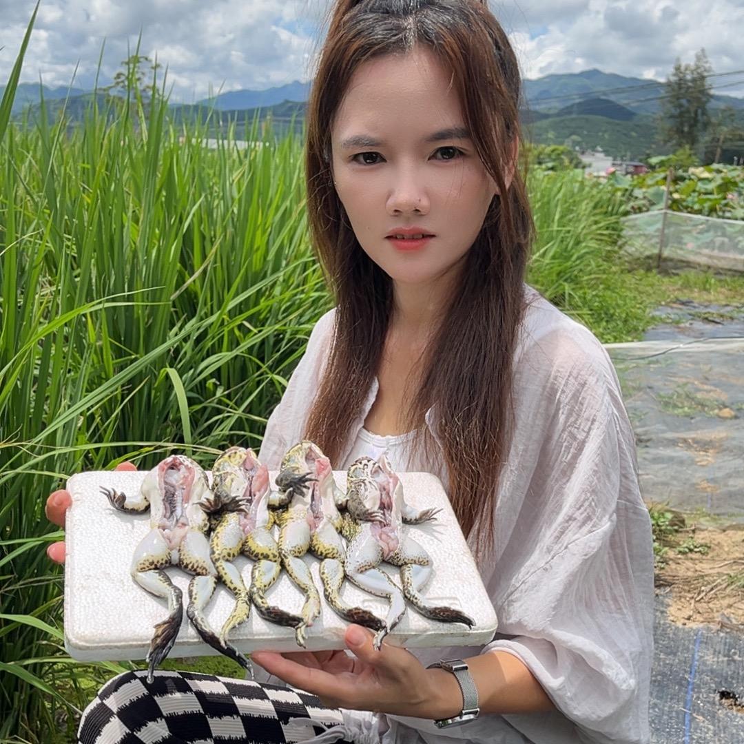 虎纹蛙（田鸡）小芳