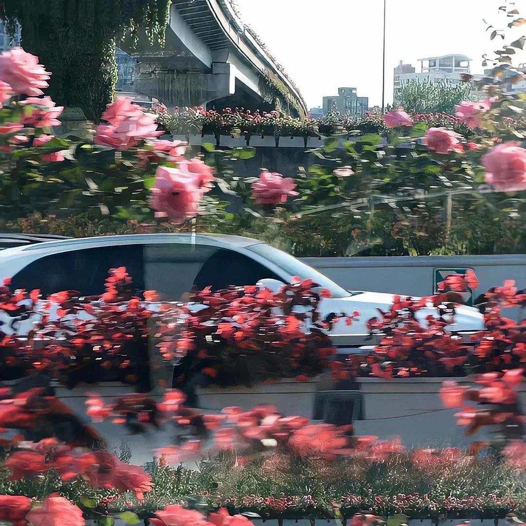 郑三岁