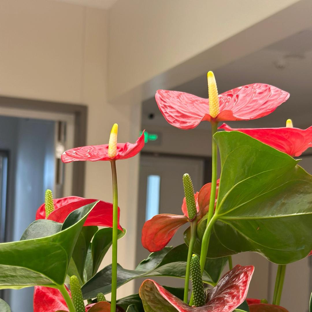 手机用户84793112337