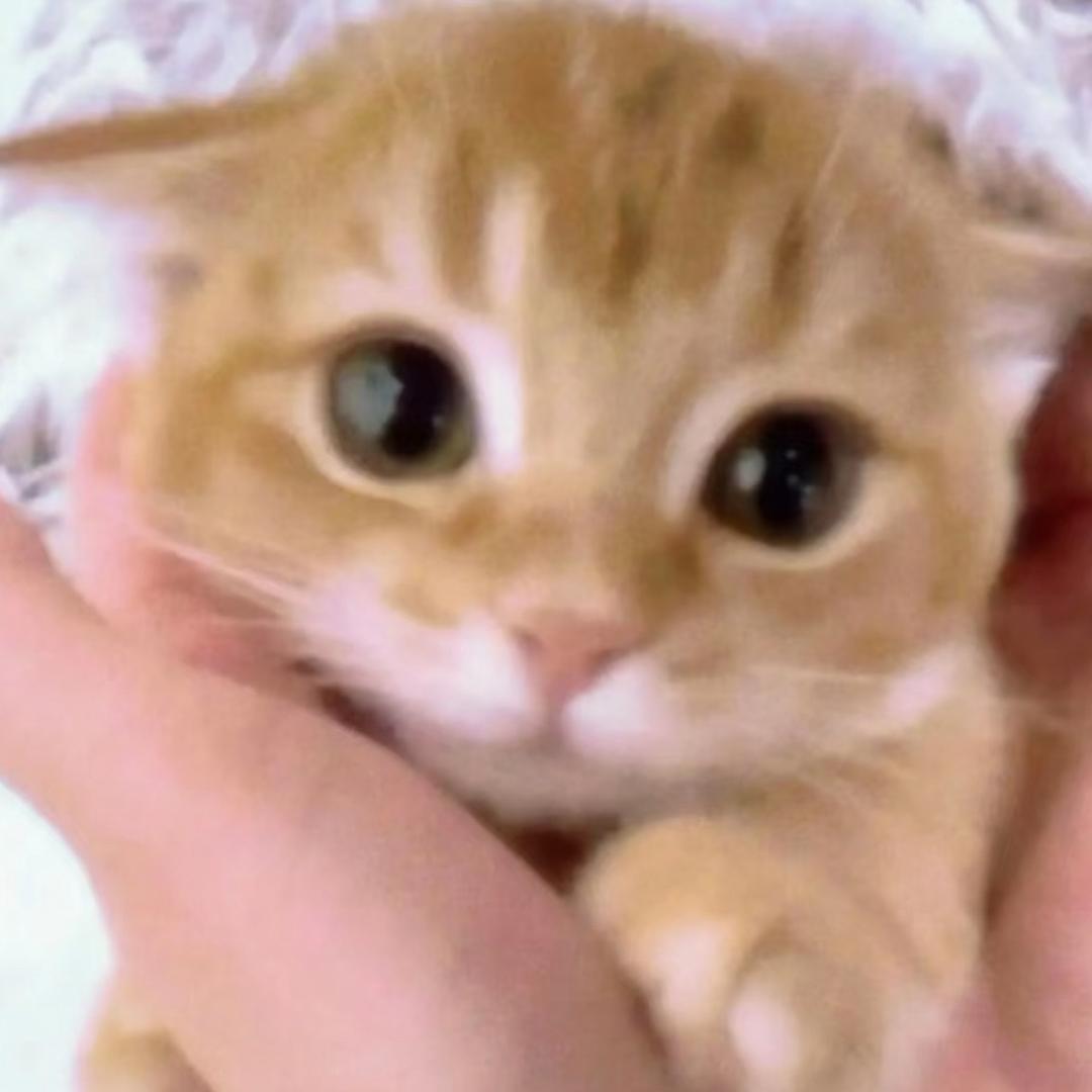 小章大王៸៸>ヮ<៸៸