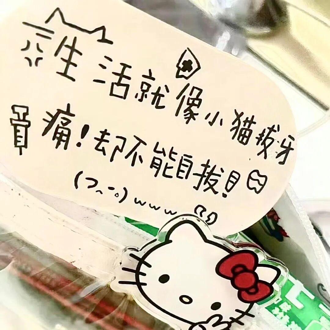 朝夕ᵃⁱ  ˡᵘᵒ