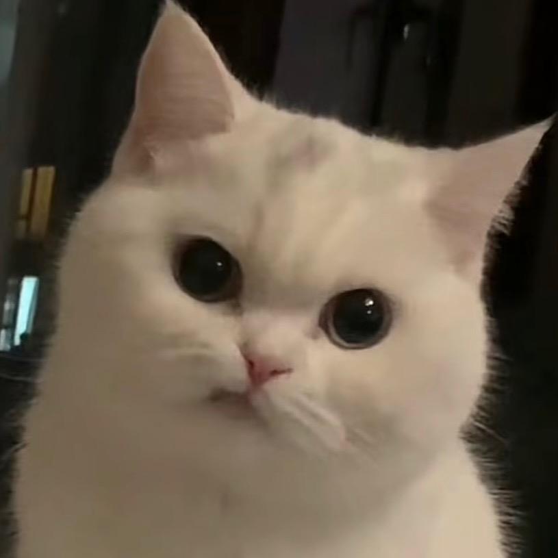 半个半个半个人