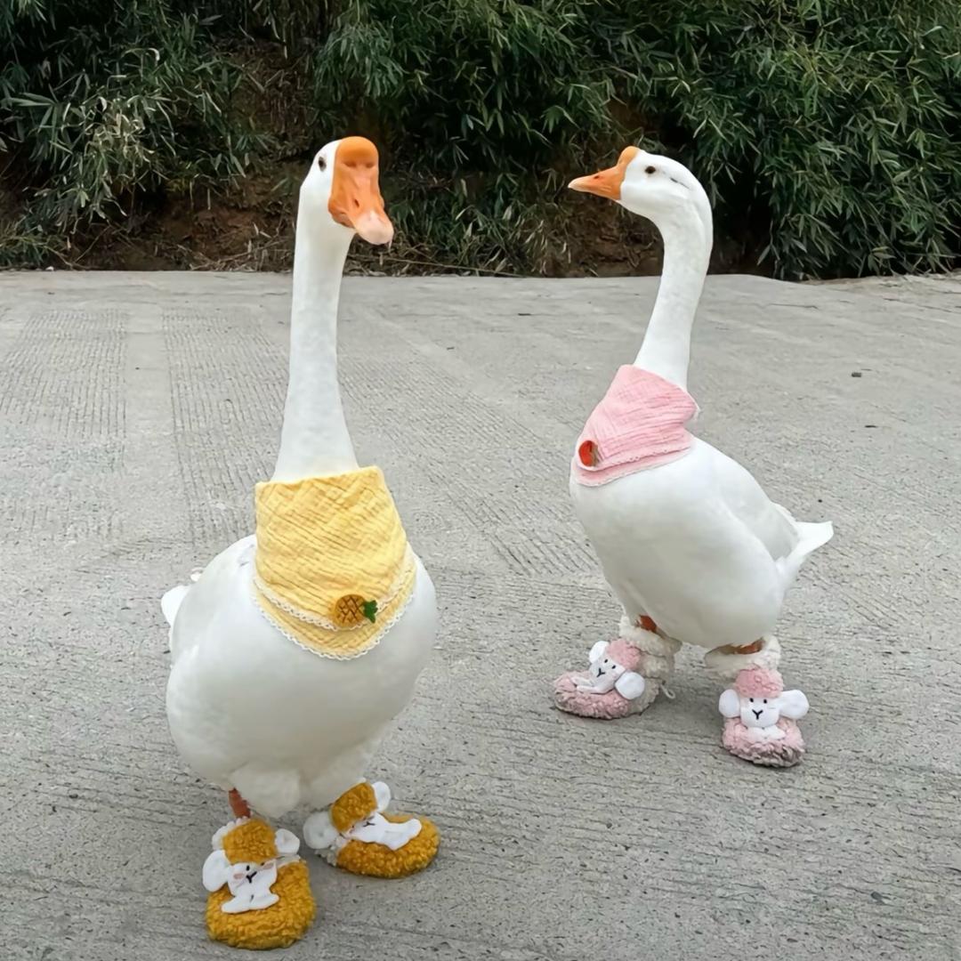 南烟