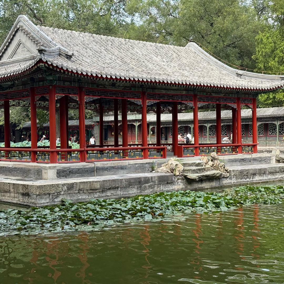 芸汐