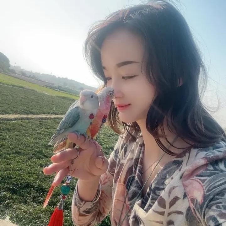 广州丽君训鸟