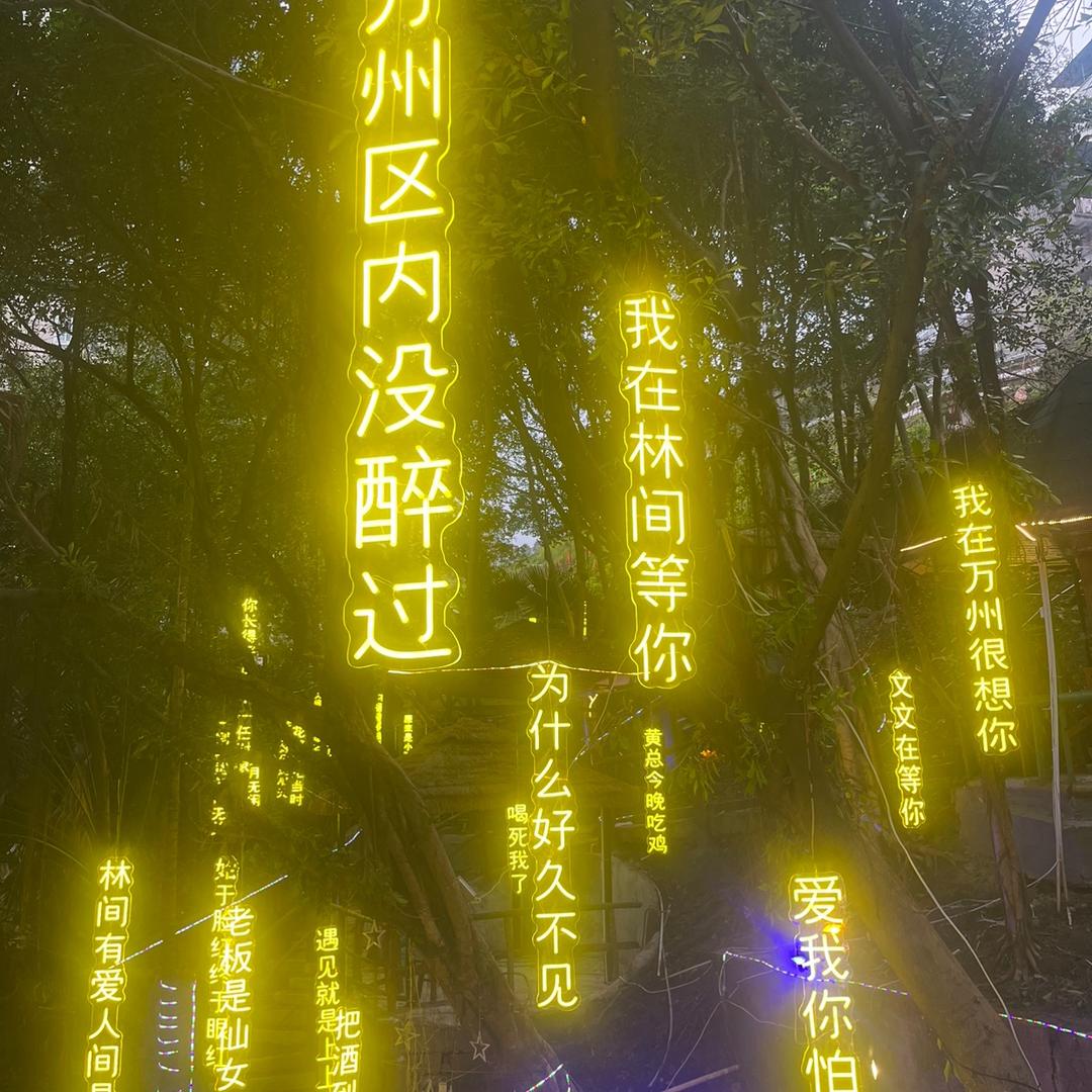 林间柴火鸡