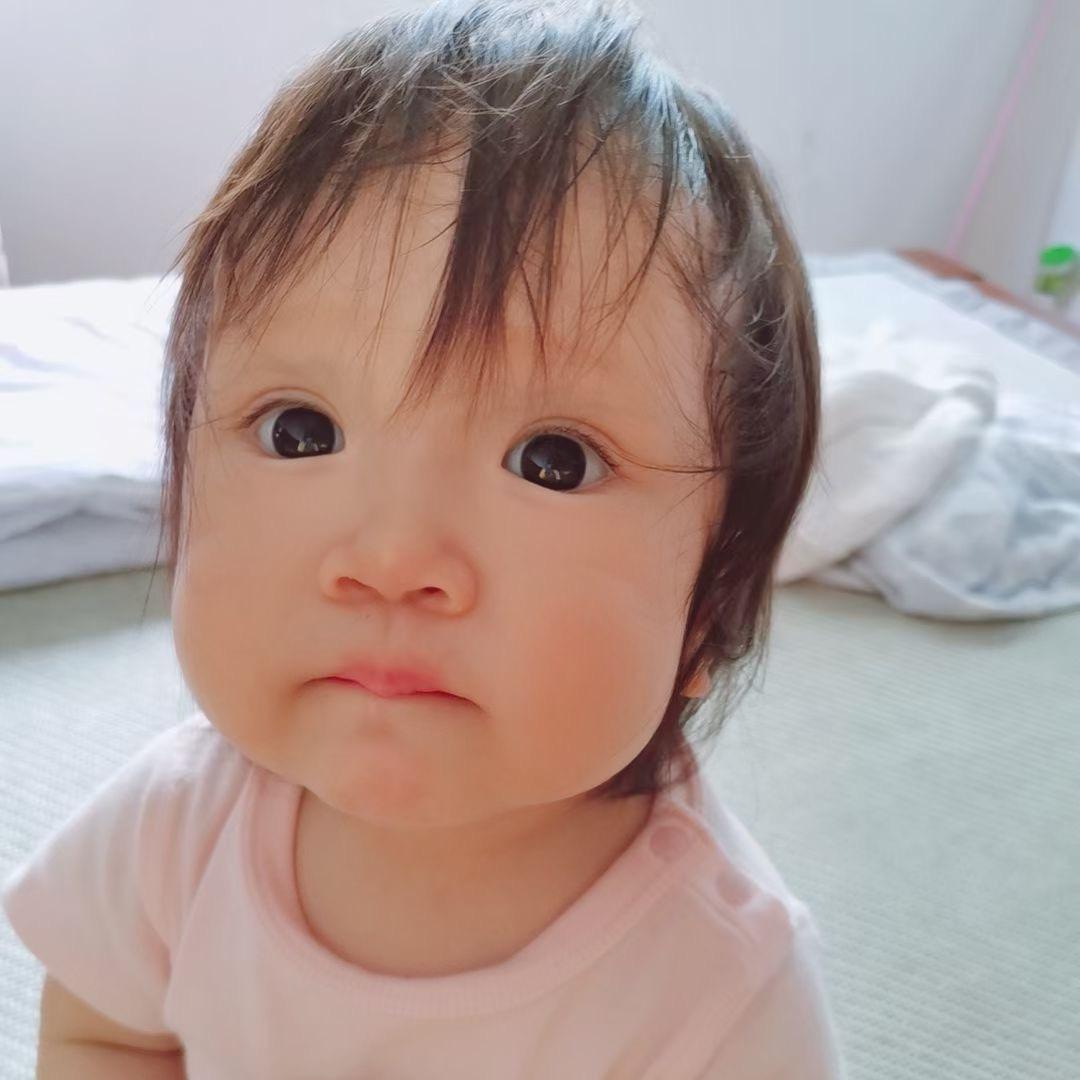 东篱先生