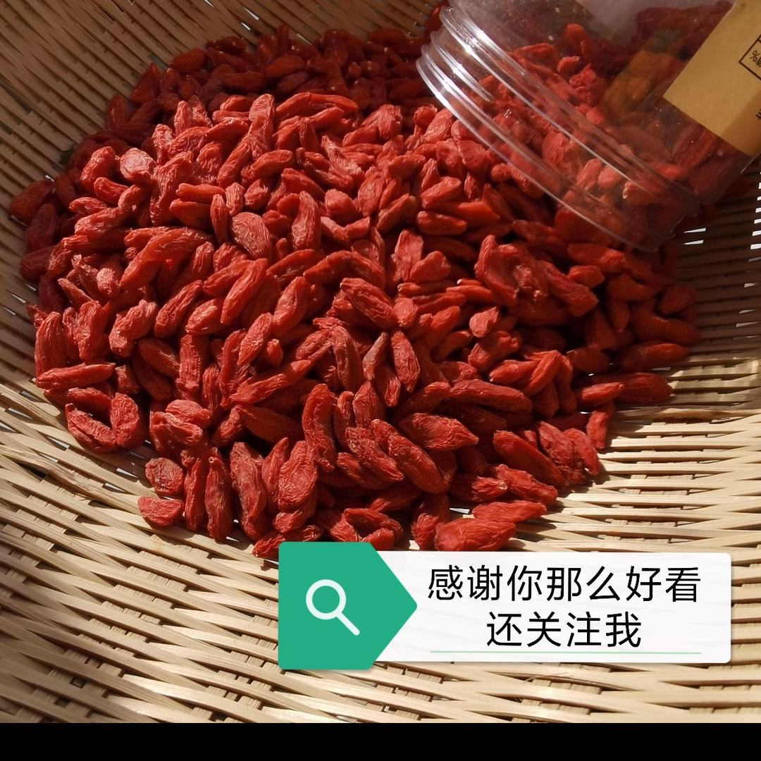 西北青年小文