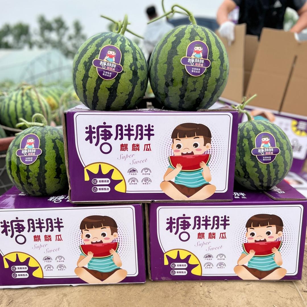 糖胖胖~小徐