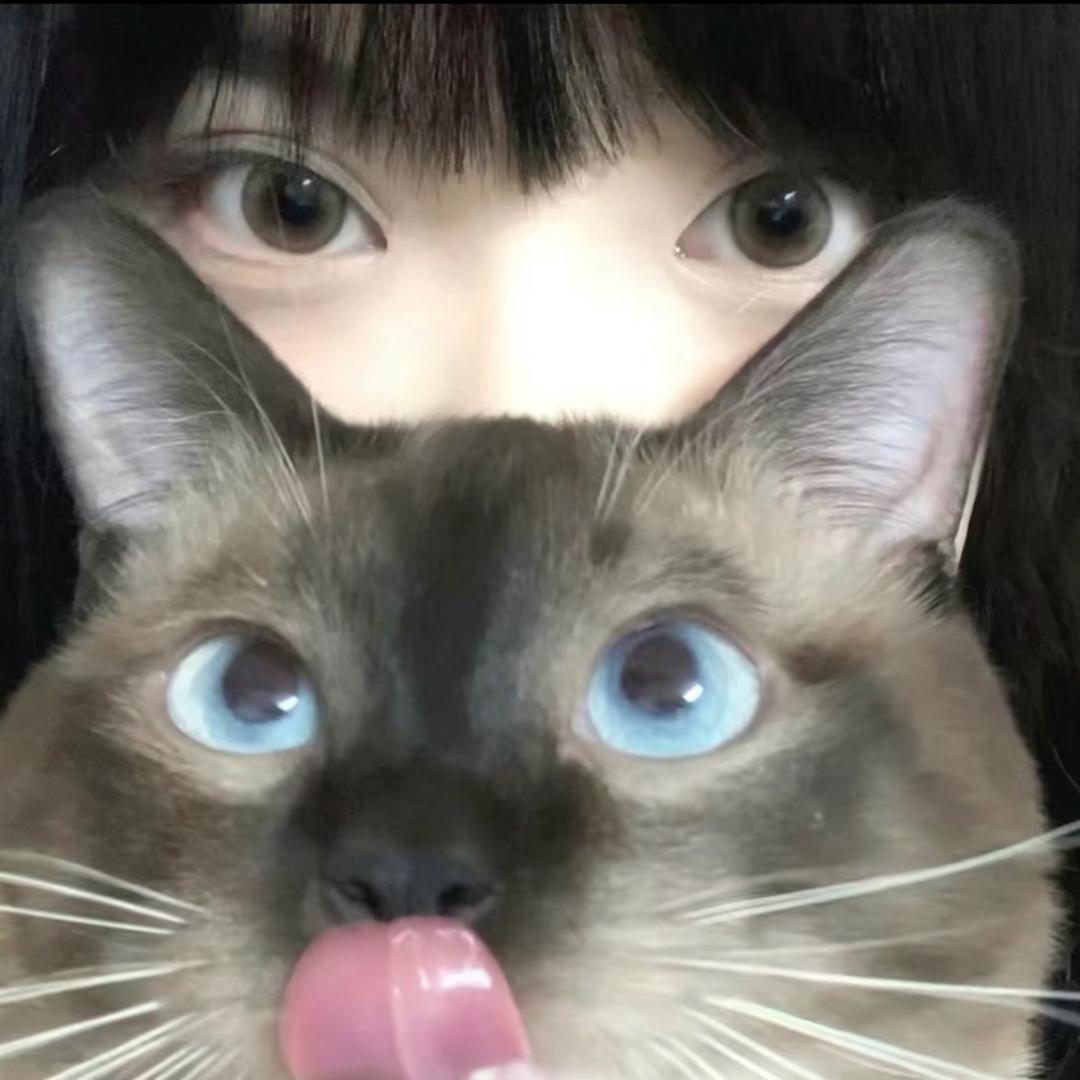 不是v10不舔