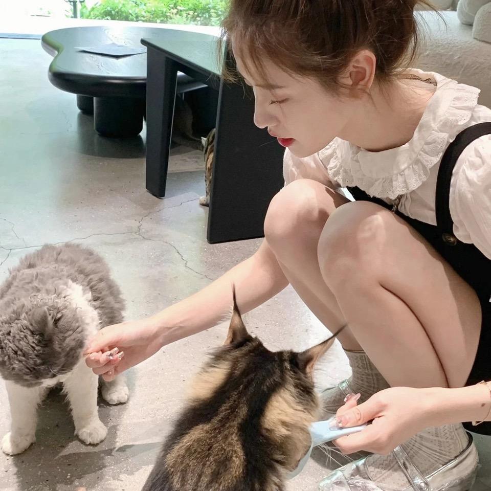 懿