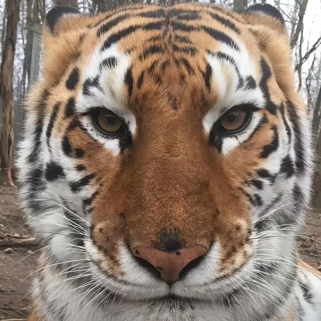 心难懂