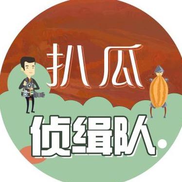 扒瓜侦缉队