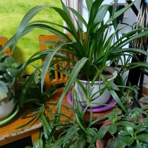 风雨过后见彩虹